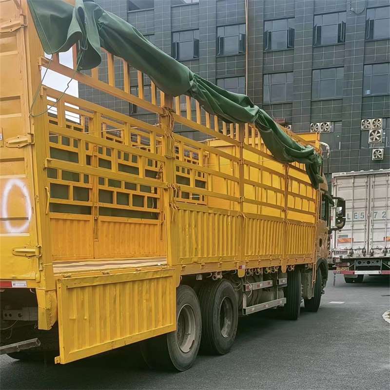 泰来县灵璧县物流运输：多元服务与高效线路探秘