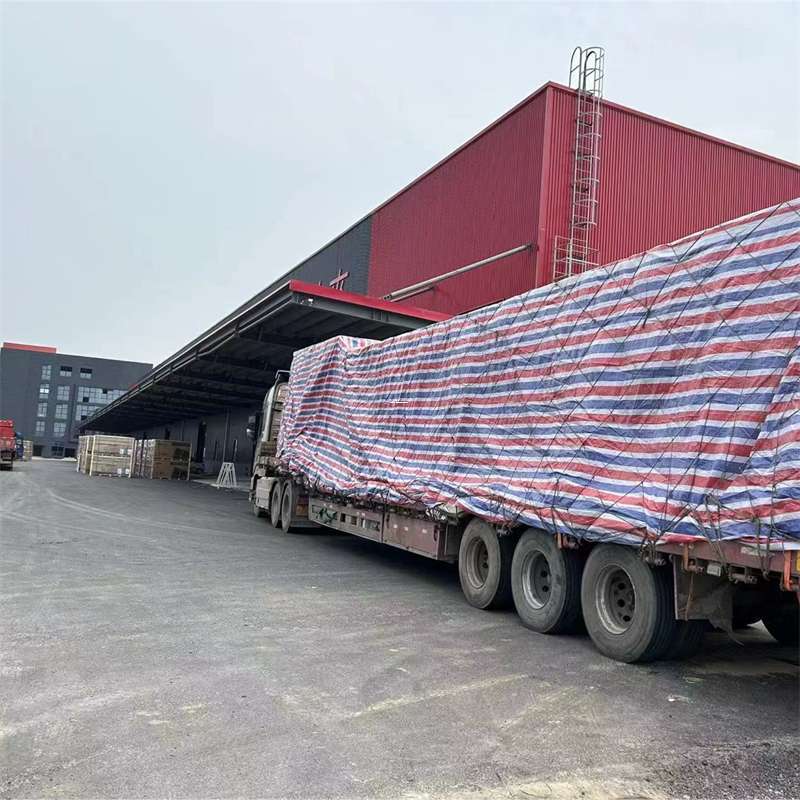 泰来县渝中区物流：多元服务与运输线路探秘