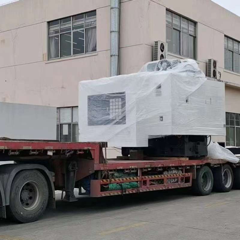 泰来县普陀区物流枢纽：多元货运服务探索